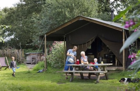 Upper Shadymoor Bed Breakfast